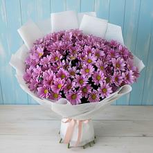 Букет цветов из:  Хризантемы в Ольгинской Краснодарского края