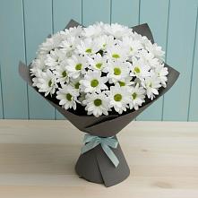 Букет цветов из:  Хризантемы в Ольгинской Краснодарского края