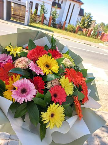 Букет цветов из: Герберы в Ольгинской Краснодарского края